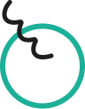 Image shape